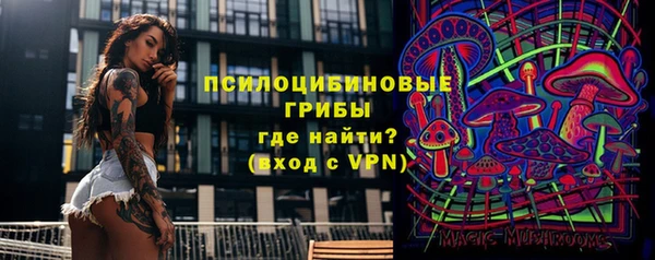 apvp Саяногорск