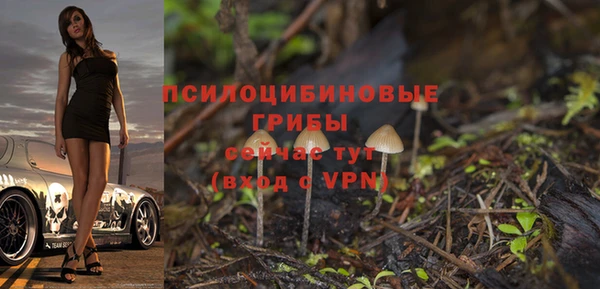 2c-b Абдулино