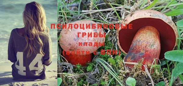 Альфа ПВП Абаза