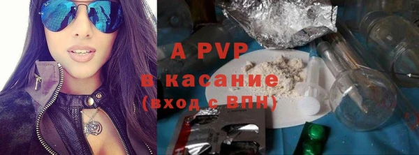 индика Алексин