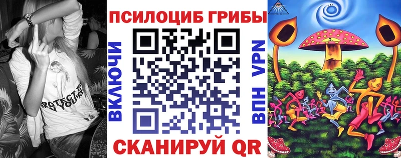 купить закладку Дмитровск Псилоцибиновые грибы мухоморы