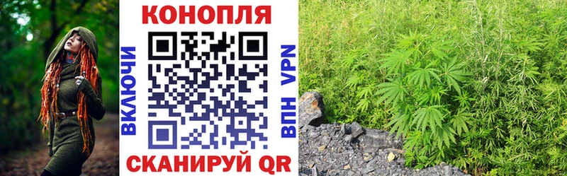 купить наркоту  Дмитровск  Марихуана ГИДРОПОН 